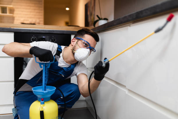  Clovis, NM Pest Control Pros