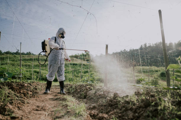 Best Local Pest Control Services  in Clovis, NM