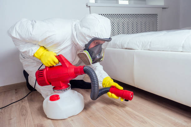 Best Mosquito Control Services  in Clovis, NM